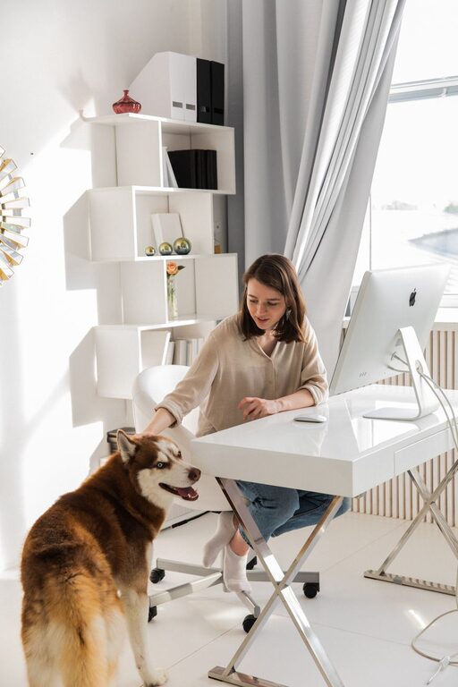 Tips for Creating a Comfortable and Productive Home Office Environment